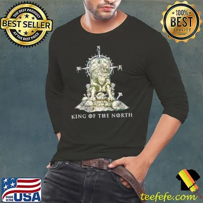 King of the North Detroit Lions 2023 shirt