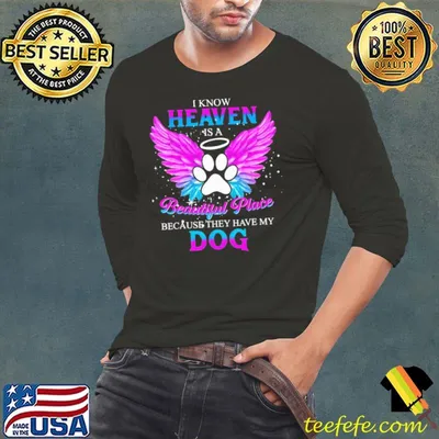 I Am A Simple Woman I Like Dogs And Believe In Jesus Wing shirt