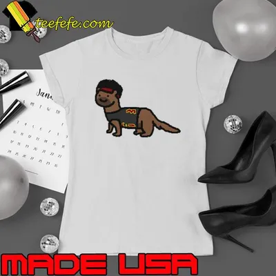 Original ferret Allen NBA paint shirt