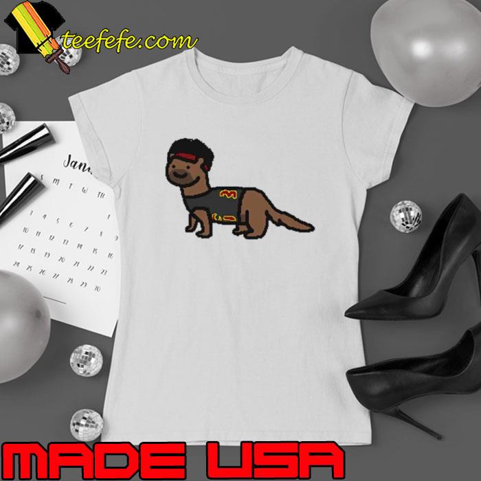 Original ferret Allen NBA paint shirt
