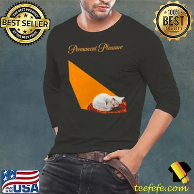 2024 Joywave Permanent Pleasure Shirt