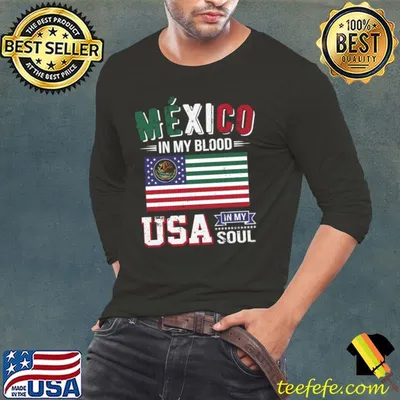Mexico in My Blood USA in My Soul T-Shirt