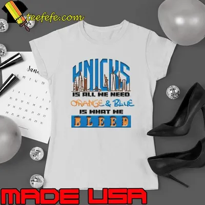 New York Knicks is all we need orange and blue is what we bleed shirt