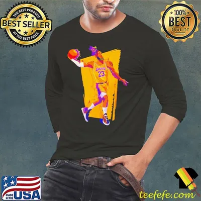 LeBron James Los Angeles Lakers Basketball Player shirt