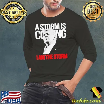 A Storm Is Coming I Am The Storm Trump 2024 Shirt