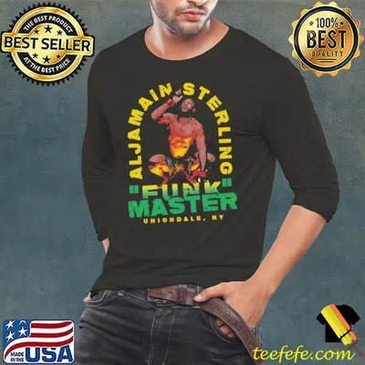 Aljamain Sterling Fun Master American professional mixed martial artist T-Shirt