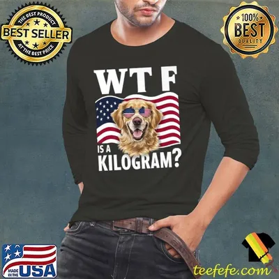 WTF is a Kilogram 4th Of July Patriotic Labrador Retriever American Flag Dog Sunglasses T-Shirt