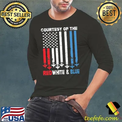 Courtesy Of The Red White And Blue Vintage America US Flag T-Shirt