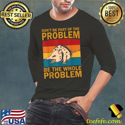 Opossum Don't Be Part Of Problem Be The Whole Problem Vintage T-Shirt