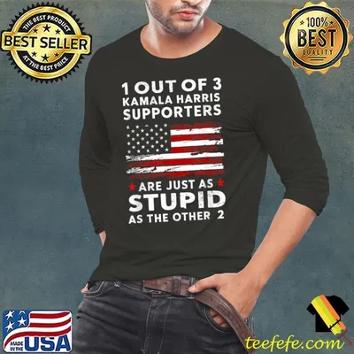 1 Out Of 3 Kamala Harris Supporters Trump At The Other American Flag Vote 2024 T-Shirt