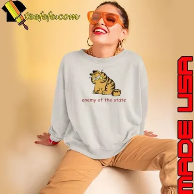 Garfield Enemy Of The State Shirt