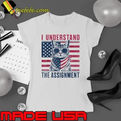 I understand the assignment cat american flag election 2024 T-Shirt