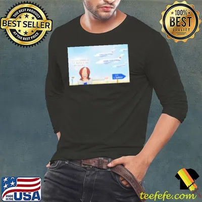 Kamala Harris Illegal Entries At The Border Are Way Down US Border Shirt
