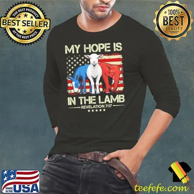 My Hope is in the Lamb Elephant Donkey USA Flag T-Shirt