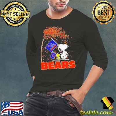Peanuts Snoopy And Woodstock Parade Flag Chicago Bears In The Fall Shirt