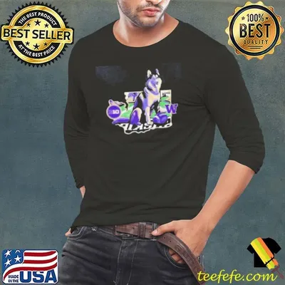 Washington Huskies Big Ten Touchdown Dawg Shirt