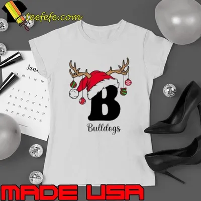 Personalized An Elk Santa Hat Teacher Shirt