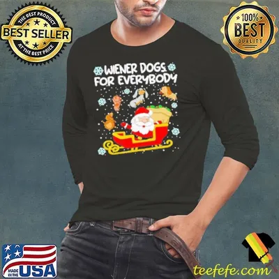 Wiener Dogs For Everybody Santa Funny Christmas Dachshund Shirt
