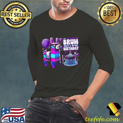 Bruh Its My Birthday Llama Pinata Family Party Bday T-Shirt