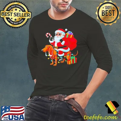 Dachshund Xmas Lighting Santa Riding Dachshund Dog Christmas 2024 Shirt