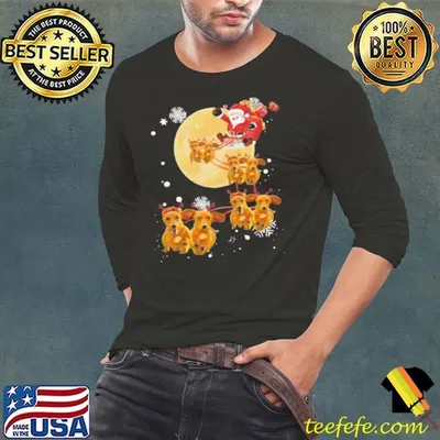 Funny Christmas Reindeer Dachshund Dog shirt