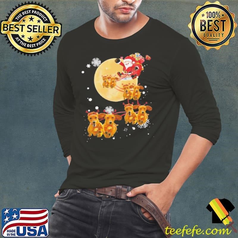 Funny Christmas Reindeer Dachshund Dog shirt