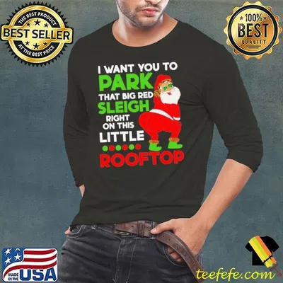 Funny I Want You To Park That Big Red Sleigh Right On This Little Rooftop Christmas Holiday Santa shirt