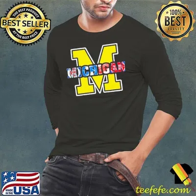 Michigan top sports teams shirt