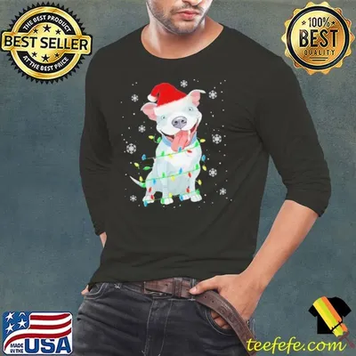 Pitbull Santa Light Merry Christmas shirt