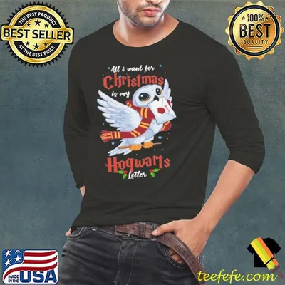 All I Want For Christmas Is My Hogwarts Letter shirt