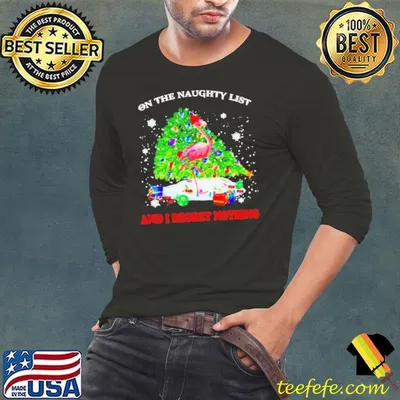 Flamingo on the naughty list and I regret nothing Christmas shirt