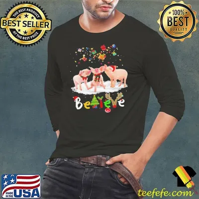 Santa Pig Believe Christmas shirt