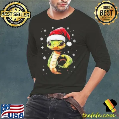 Funny Xmas Snake Lovers Christmas Snake Santa Hat Men Women Shirt