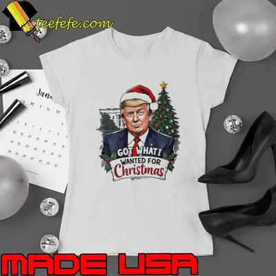Got what I wanted for Christmas Trump Santa shirt