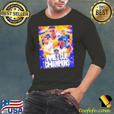 Los Angeles Galaxy 2024 MLS Cup Champions graphic Shirt