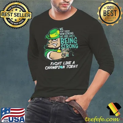 Notre Dame Fighting Irish Fight Like A Champion Today 2024 Shirt