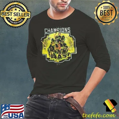 Oregon Ducks Big Ten Football Champions 2024 Flying High Shirt