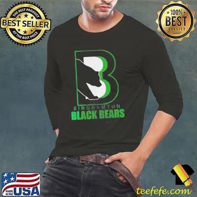 Binghamton Black Bears Empire Division Champions 2025 Shirt