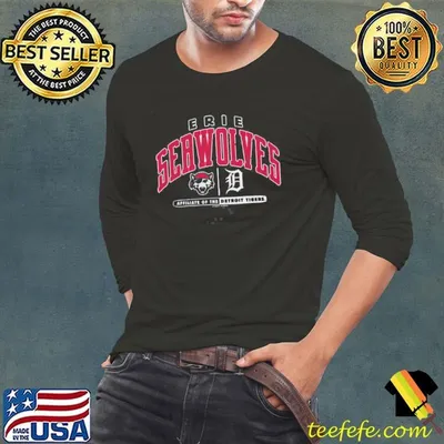 Erie SeaWolves BR Queta Affiliate Of The Detroit Tigers MLB Baseball 2025 shirt