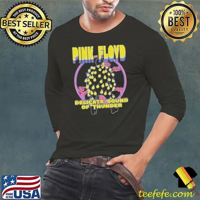 Pink Floyd Delicate Sound Of Thunder shirt