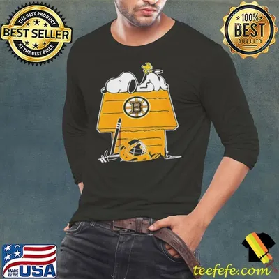 Snoopy and Woodstock x Boston Bruins hockey NHL shirt