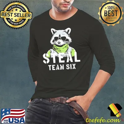 Raccoon steal team six shirt