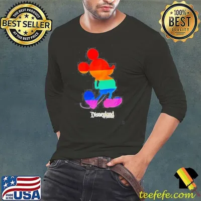 Disneyland resort gay shirt
